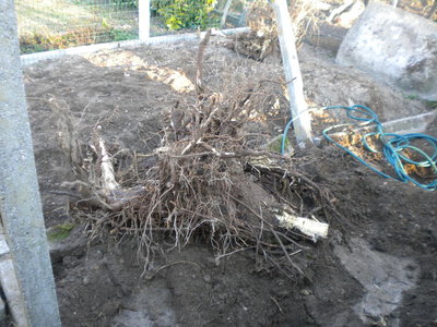 DSCN2919.jpg