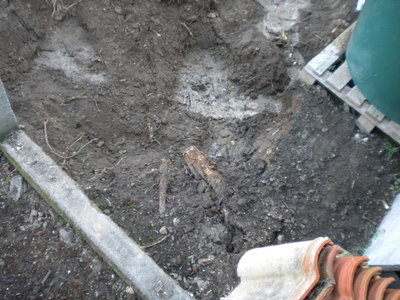 DSCN2920.jpg
