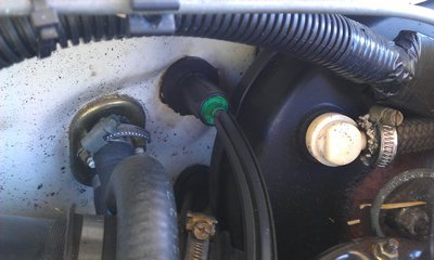 IMAG0577.jpg