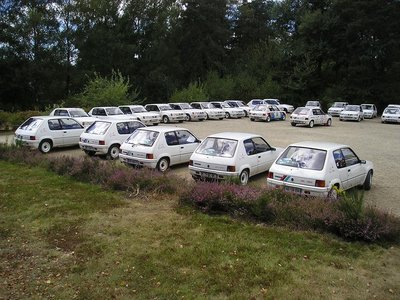 P1010014.JPG