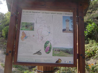 DSC00829.JPG