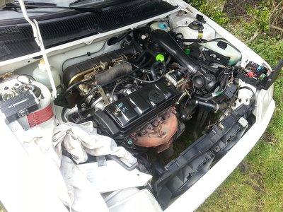 20130322_145454.jpg