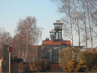 DSCN3781 (400x300).jpg