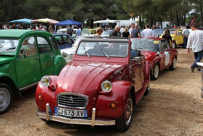 IMG_02811.jpg