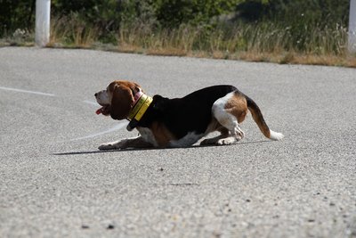 IMG_24561.jpg