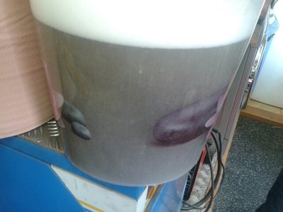 2013-09-28_11_30_19.jpg