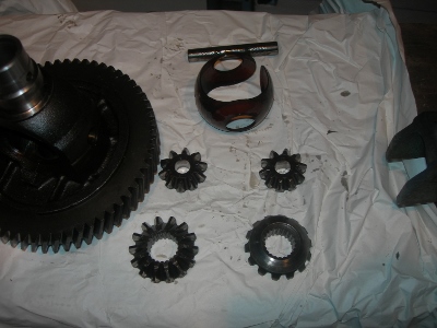 DSCN4003 (400x300).jpg