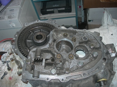 DSCN4010 (400x300).jpg