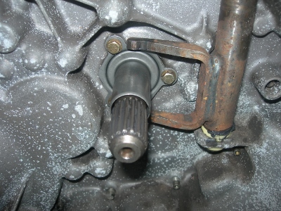 DSCN4024 (400x300).jpg