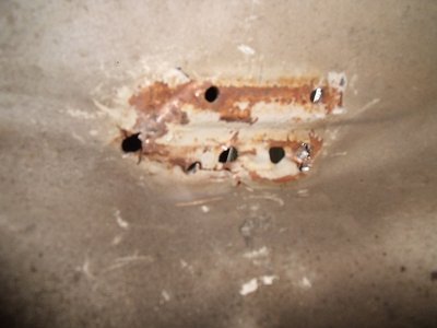 DSCF1420.JPG