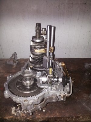 20131102_090135.jpg