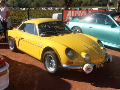 cette teinte jaune  lui va très bien