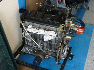 P1050448.JPG