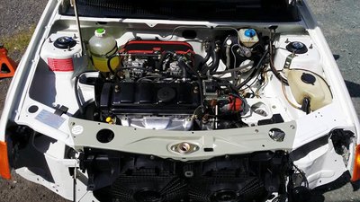 11350613_10204607553365526_1926705404955035233_n.jpg