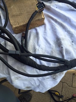 11872060_1616338218625733_4678699472704934744_o - Copie - Copie.jpg