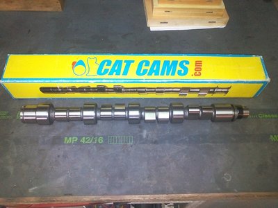 AAC CatCams.jpg