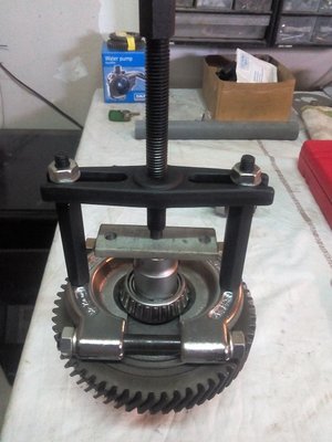 bv 3.jpg