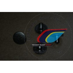 Boutons de maintien tapis de coffre (lot de 4)