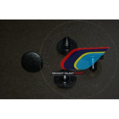 Boutons de maintien tapis de coffre (lot de 4)