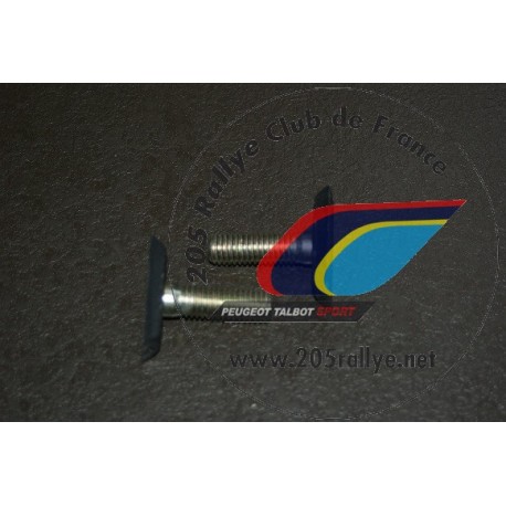 Vis courte fixation pare-choc (8x25) 