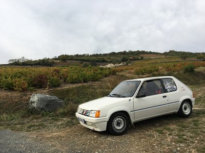 IMG_5090réduit.jpg