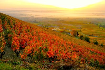 crédit : http://inspivoyages.blogspot.fr/
