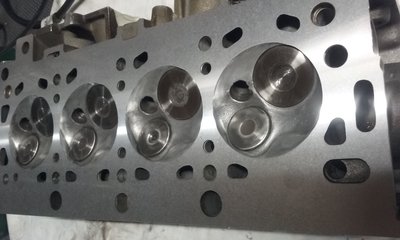 20190805_184458[1].jpg