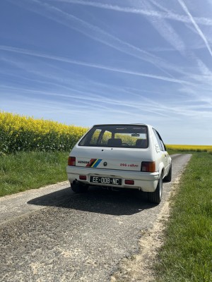 IMG_8153.jpeg