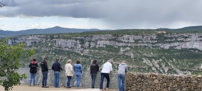 IMG_20260515_172049.jpg