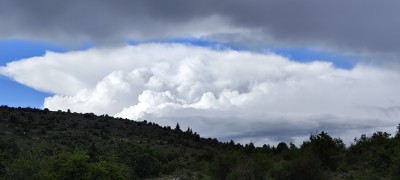 IMG_20260515_172346.jpg