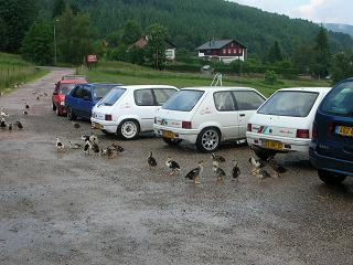 4.JPG