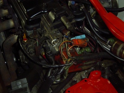 RIMG0466.JPG