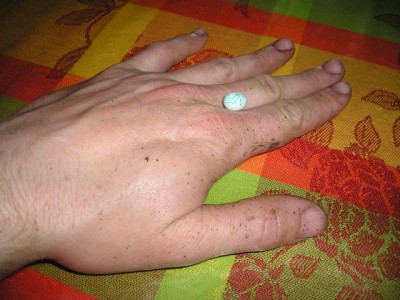 Ma main légèrement mouchetée...