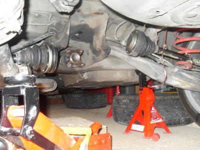 SDC10940 (600 x 450).jpg