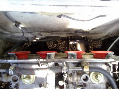 28052011014_2.jpg