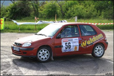 ecureuil 2011