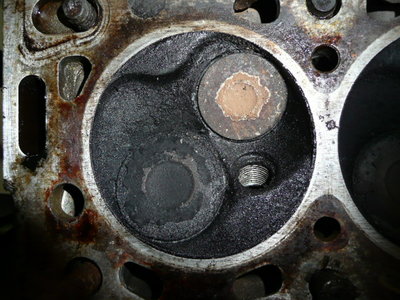 P1050536.JPG