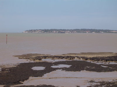 DSC00413.JPG