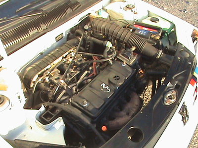 DSC00031.JPG