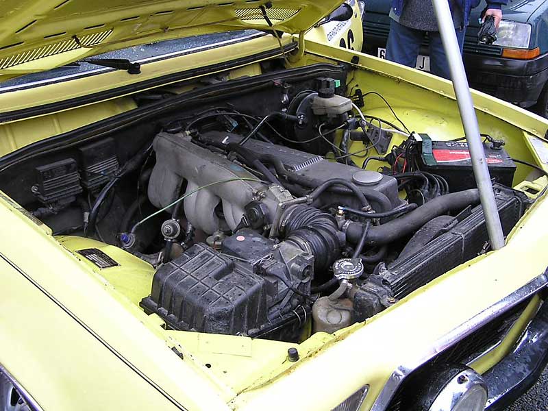 P1293333.JPG